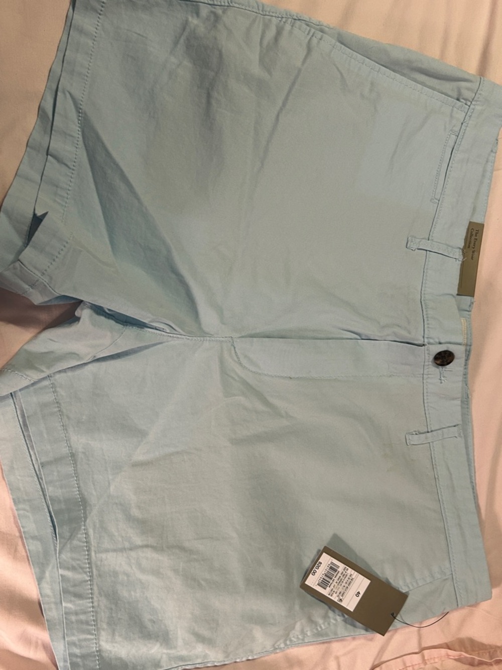 Target Blue Everyday Shorts